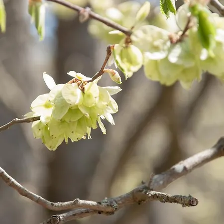 Kurparkhotel-gemuend Hotel